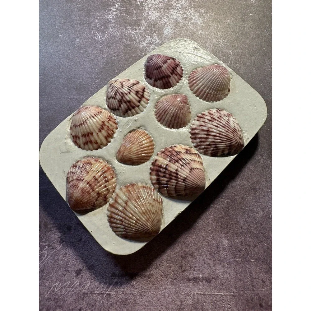 Handmade Soap Dish Cement Soap Holder Bathroom Kitchen Pink Sea Shells